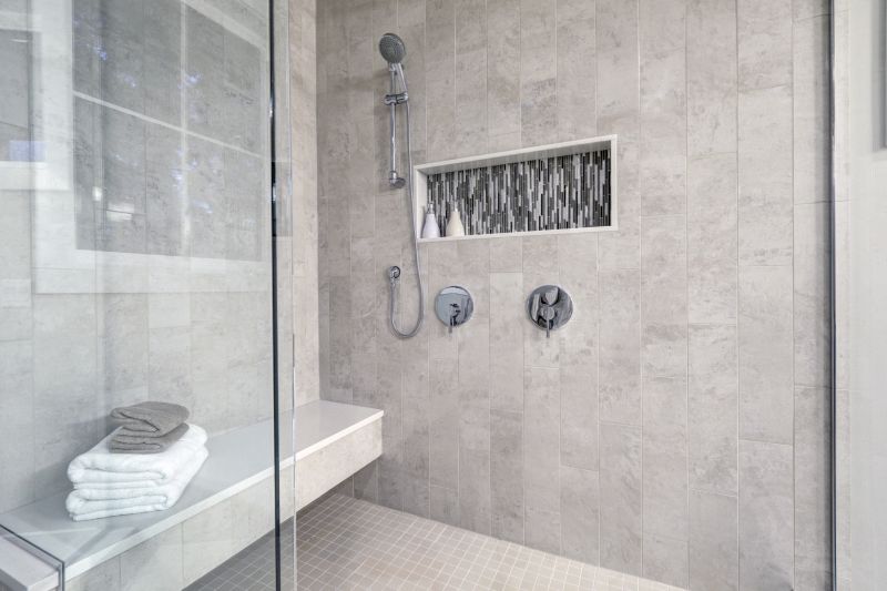 Sleek Shower Design with Built-in Shelves
